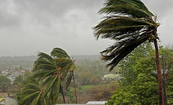 Moçambique busca cumprir metas globais após recessão e eventos extremos